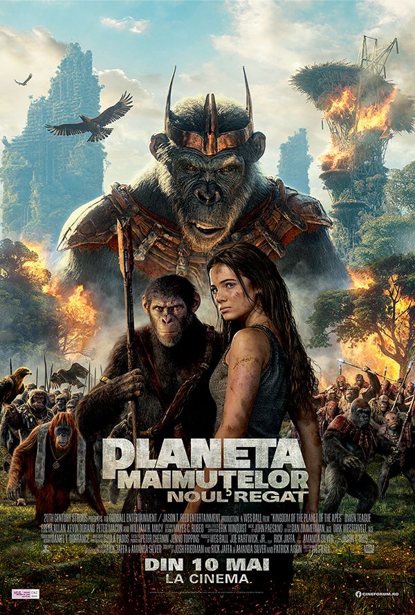 Planeta maimutelor: Noul regat poster