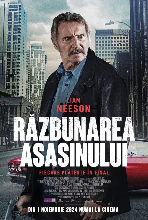 Razbunarea asasinului poster